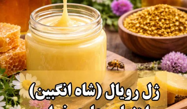 ظرف شیشه‌ای کوچک و یک قاشق چوبی آغشته به ژل رویال خام با رنگ سفید شیری و بافت کرمی