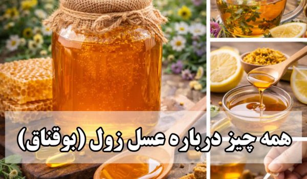 ظرف شیشه‌ای از عسل زول با رنگ کهربایی تیره و قوام غلیظ در کنار یک قاشق چوبی و چند شاخه خشک شده گیاه بوقناق